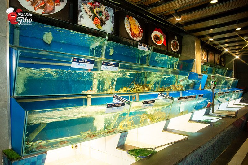 Hải Sản Phố cung cấp hàng trăm loại hải sản tươi sống chất lượng