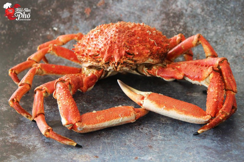 Tuổi thọ của loài cua này lên tới 20 năm