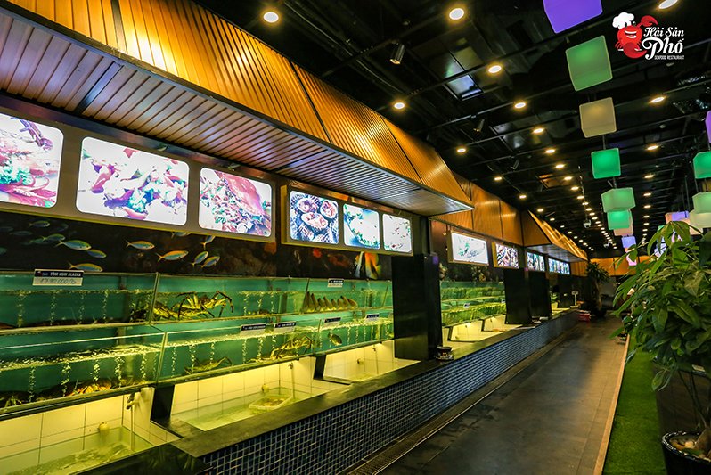 Bể chứa hải sản tươi sống công suất lớn được giám sát bởi đội ngũ kỹ sư có kinh nghiệm