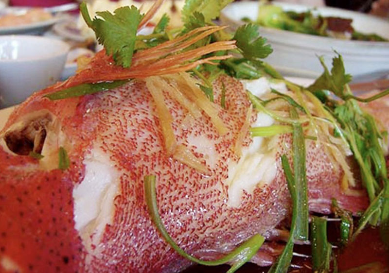 Cá song hấp xì dầu dễ ăn, được thực khách mọi lứa tuổi yêu thích.