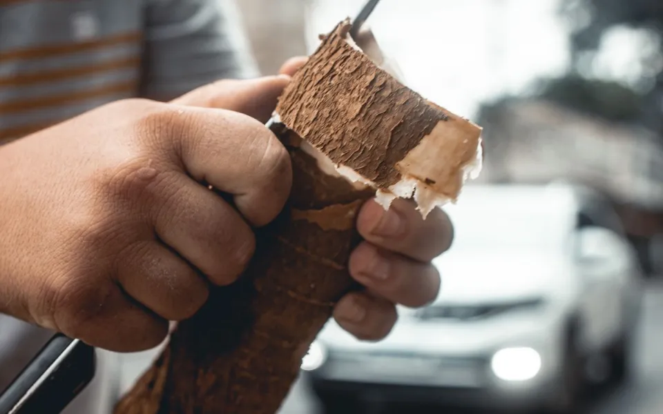 c&aacute;ch khử độc khoai m&igrave;