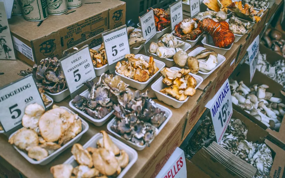 lẩu nấm tiềm củ quả