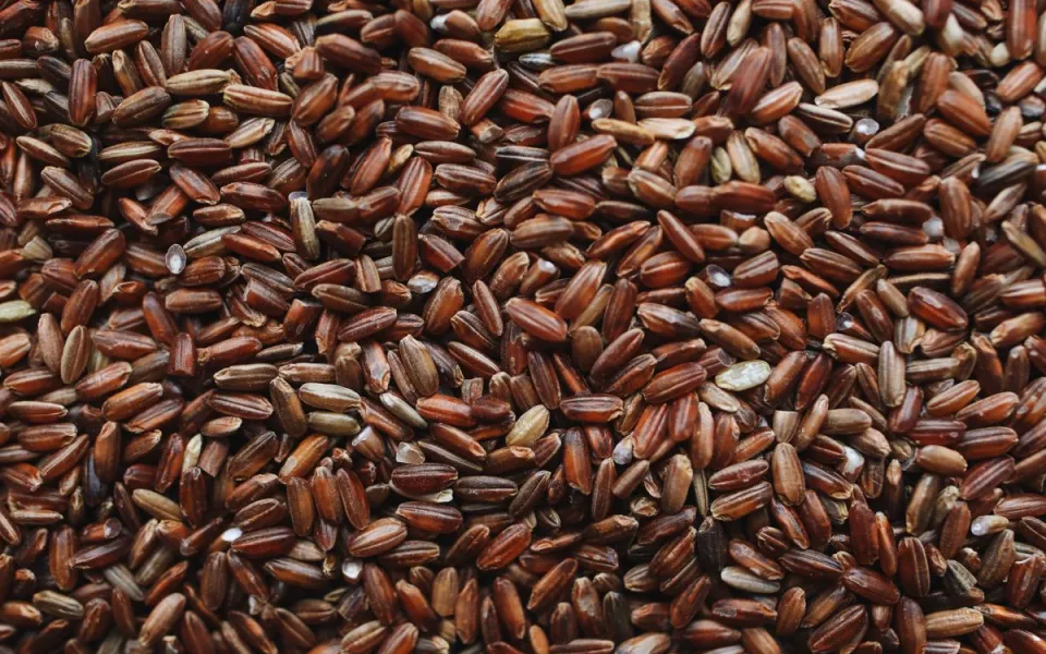 c&aacute;ch rang gạo lứt