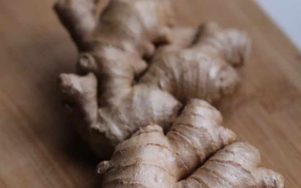 m&oacute;n ăn dễ ti&ecirc;u h&oacute;a