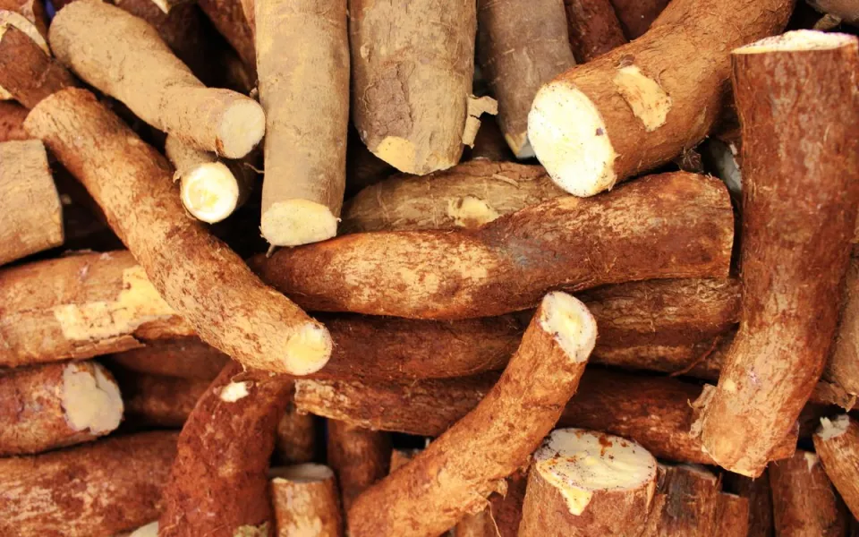 an to&agrave;n thực phẩm