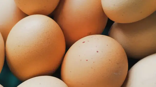 Thực phẩm gi&agrave;u protein: 8 loại quen thuộc v&agrave; c&aacute;ch nấu ngon