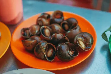 Ốc luộc bày đĩa