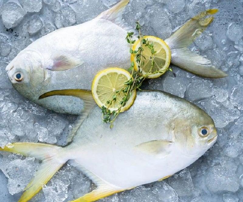 C&aacute; chim &ndash; Thịt trắng mềm, thơm v&agrave; dễ chế biến