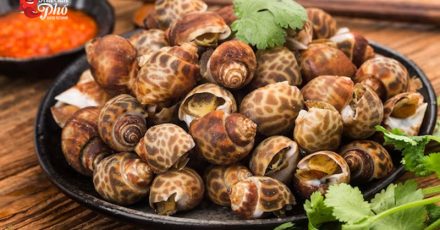 Món ốc hương nướng thơm ngon vô cùng hấp dẫn
